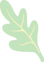 Hand Drawn Leaf Element vector