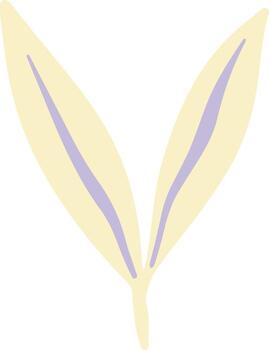 Hand Drawn Leaf Element vector