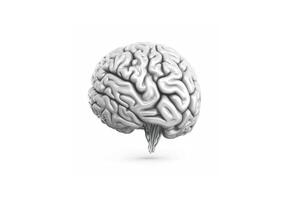 un cerebro es mostrado en un blanco antecedentes. ai generativo foto