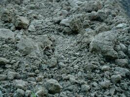 soil environment nature close up black dark color dust farm field garden dirty growing organic sand seed soil spring surface rough texture mud agriculture leaf humus grunge fertile rural land terrain photo