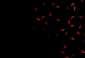 Dark Red vector doodle background.