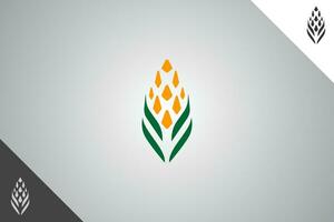 Corn logo. Minimal and modern logotype. Perfect logo for business related to agriculture industry, wheat farm, farm field, natural harvest, breeder. Isolated background. Vector eps 10.