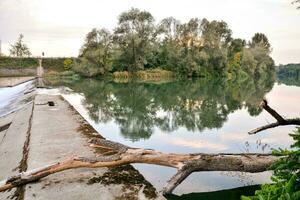 a tree branch is hanging over the edge of a dam photo