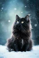 Furry black cat in winter with falling snow. Generative AI photo