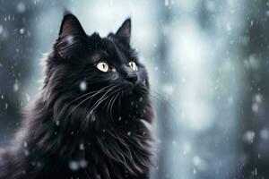 Furry black cat in winter with falling snow. Generative AI photo