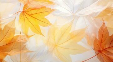 Translucent fallen autumn leaves. Fall autumn background. Generative AI photo
