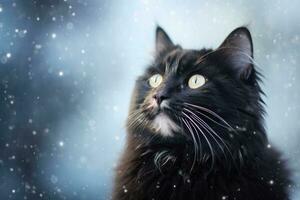 Furry black cat in winter with falling snow. Generative AI photo