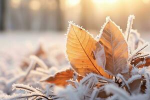 Orange beech leaves covered with frost in late fall or early winter. Generative AI photo