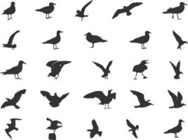 Seagull silhouettes, Flying seagull silhouette, Seagull vector, Bird icon, Bird silhouettes vector