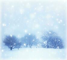 Snowy landscape with trees photo