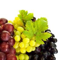 Different kind of grapes photo
