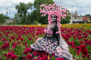 glorioso elegancia en el corazón de cholula cempasúchil campos un fascinante día de el muerto Sesión de fotos, presentando un maravilloso mujer transformado dentro un catrina, pago a el tradicion de morir Delaware muertos foto