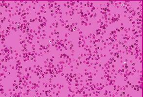 Light Purple vector pattern with spheres.