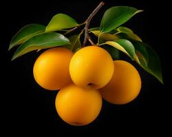 Photo of Arbei isolated on white background. Generative AI