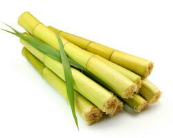 Photo of Sugarcane isolated on white background. Generative AI