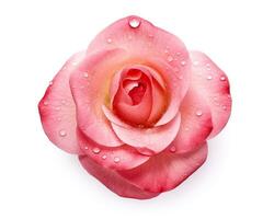 Photo of Rose water apple isolated on white background. Generative AI