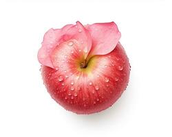 Photo of Rose water apple isolated on white background. Generative AI