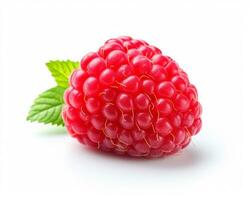 Photo of Red raspberry isolated on white background. Generative AI