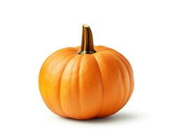 Photo of Pumpkin isolated on white background. Generative AI