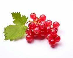 Photo of Currant isolated on white background. Generative AI