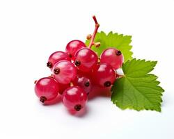 Photo of Currant isolated on white background. Generative AI