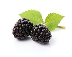 Photo of Blackberry isolated on white background. Generative AI