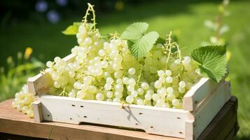 Freshly picked White currant fruit from garden placed in the boxes. Generative AI photo