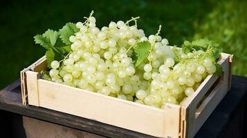 Freshly picked White currant fruit from garden placed in the boxes. Generative AI photo
