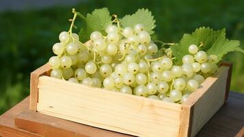 Freshly picked White currant fruit from garden placed in the boxes. Generative AI photo