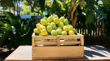 Freshly picked White mango Jack fruit from garden placed in the boxes. Generative AI photo