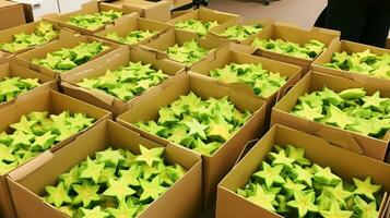 Freshly picked Starfruit from garden placed in the boxes. Generative AI photo