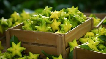 Freshly picked Starfruit from garden placed in the boxes. Generative AI photo