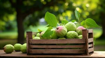 recién escogido guayaba Fruta desde jardín metido en el cajas generativo ai foto