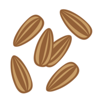 Sunflower Seeds. Sunflower Seeds on transparent background. png