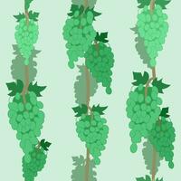 Pattern with green grapes. Background with vines on a green background. Seamless vector pattern