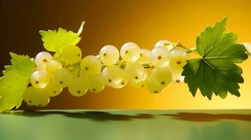 Photo of White currant fruit half against a colorful abstract background. Generative AI