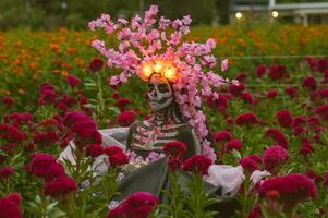 glorioso elegancia en el corazón de cholula cempasúchil campos un fascinante día de el muerto Sesión de fotos, presentando un maravilloso mujer transformado dentro un catrina, pago a el tradicion de morir Delaware muertos foto