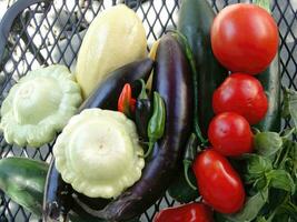 Fresh vegetables on a metal grid photo