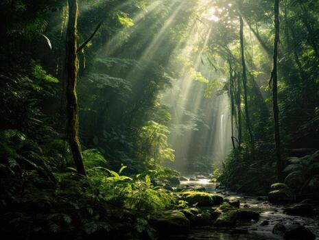 sunlight shining through trees and plants photo