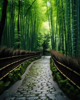 a stone path through a bamboo forest photo