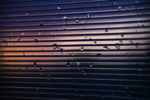 Blue-purple polycarbonate with raindrops. View of wet glass in the setting sun. photo