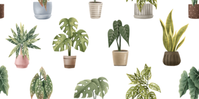 Hand painted seamless pattern with pots, houseplants and home interior decorative flowers. Isolated endless design with monstera, alocasia, calathea, begonia, succulent. Cute background png