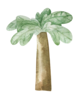 watercolor green palm tree illustration, cute childish isolated clipart.  Cute kids design, sticker, print png