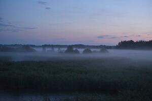 Foggy landscape late at night in a summer field. The forest is in a haze after the rain. Night forest and field. photo