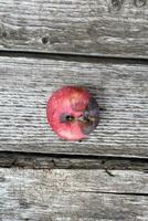 un podrido rojo manzana en el antecedentes de un podrido tablero. foto