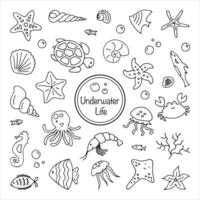 Set of sea underwater creatures outline on white background Hand drawn thin line doodle illustration vector