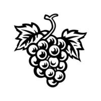 Bunch of grapes with leaves, wine vine outline, doodle hand drawing, editable icon, black contour on white background vector