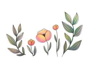 Aquarell modisch minimalistisch Blumen- Satz. Blumen mit Grün Blatt Blätter Geäst. einfach süß Pflanzen Sammlung auf transparent Hintergrund. zum Hochzeit Einladung, speichern das Datum, danken Du, Gruß png