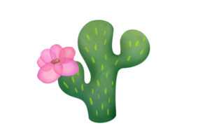 Watercolor clipart blooming green Mexican cactus with pink flower isolated on transparent background for stickers, greeting cards, nature scrapbooking. cut out Cute desert plants, succulents, prints png