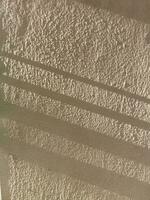 Leaves shadow background on concrete wall texture, leaves tree branches shade with sunlight photo